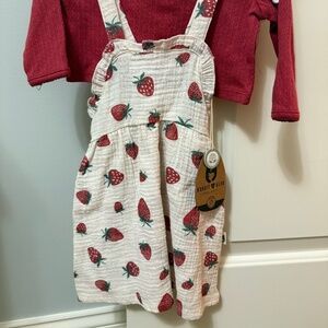 Strawberry Dress 12 Month Girl